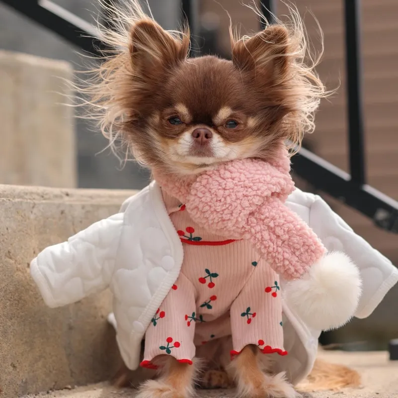 Quilted Button-Up Coat - White